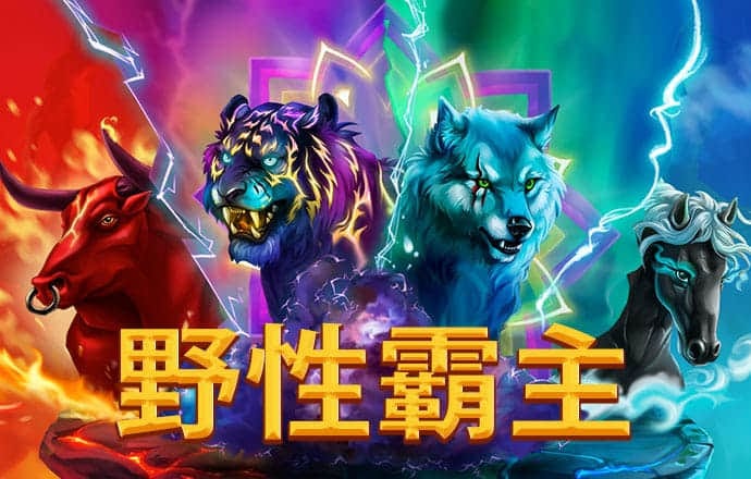 BB梯子游戏网址是多少